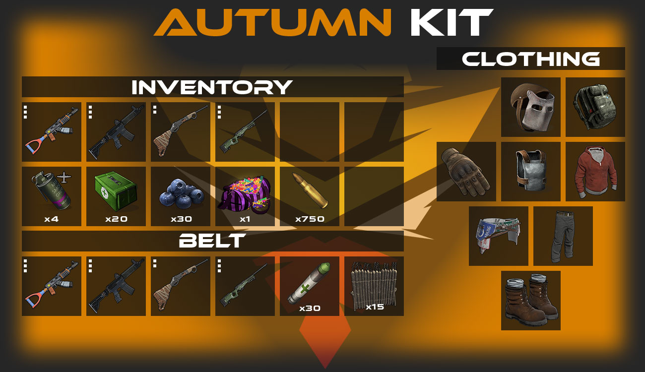 VIP Kit Image 2