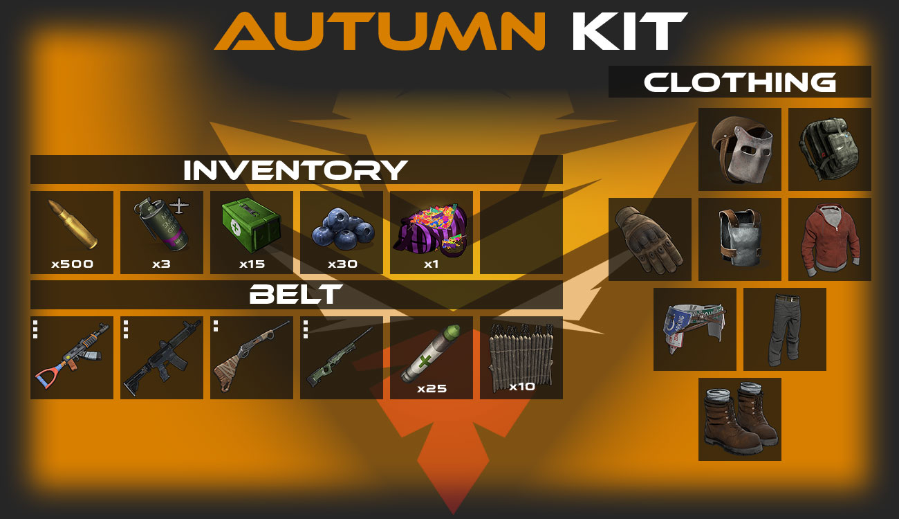 VIP Kit Image 2
